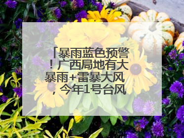 暴雨蓝色预警！广西局地有大暴雨+雷暴大风，今年1号台风最新消息……