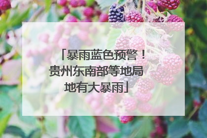 暴雨蓝色预警！贵州东南部等地局地有大暴雨