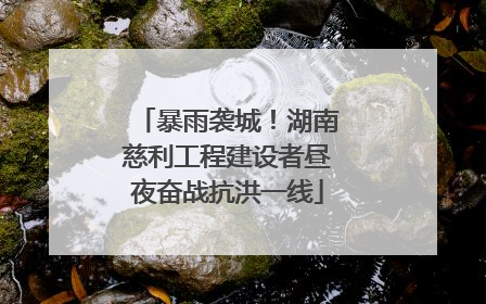 暴雨袭城！湖南慈利工程建设者昼夜奋战抗洪一线