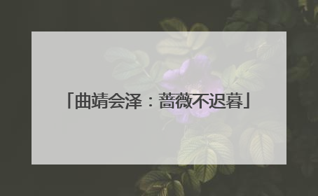 曲靖会泽：蔷薇不迟暮