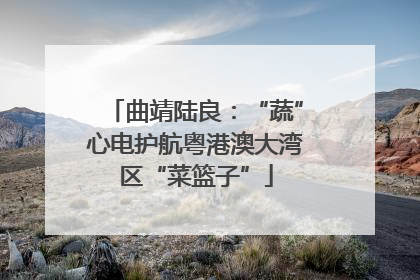 曲靖陆良：“蔬”心电护航粤港澳大湾区“菜篮子”