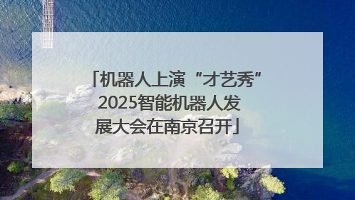 机器人上演“才艺秀” 2025智能机器人发展大会在南京召开