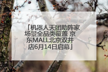 机器人天团助阵家场景全品类覆盖 京东MALL北京双井店6月14日启幕