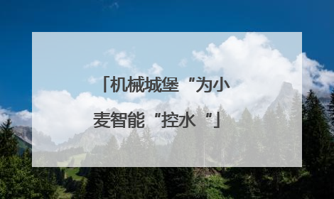 机械城堡“为小麦智能“控水“