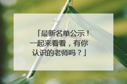 最新名单公示！一起来看看，有你认识的老师吗？