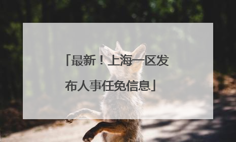 最新！上海一区发布人事任免信息
