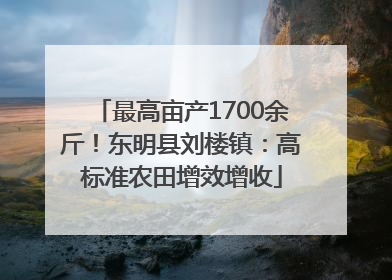 最高亩产1700余斤！东明县刘楼镇：高标准农田增效增收