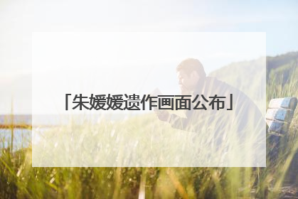 朱媛媛遗作画面公布