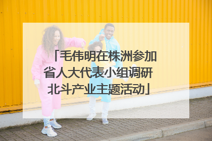 毛伟明在株洲参加省人大代表小组调研北斗产业主题活动
