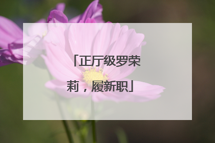 正厅级罗荣莉，履新职