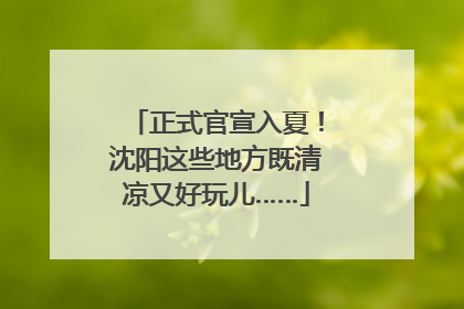 正式官宣入夏！沈阳这些地方既清凉又好玩儿……