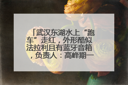 武汉东湖水上“跑车”走红，外形酷似法拉利且有蓝牙音箱，负责人：高峰期一两百人排队