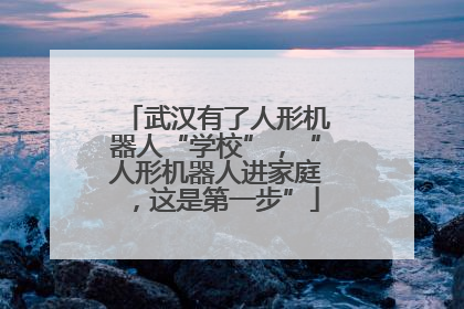 武汉有了人形机器人“学校”，“人形机器人进家庭，这是第一步”