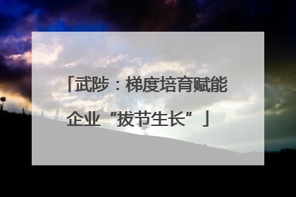 武陟：梯度培育赋能企业“拔节生长”