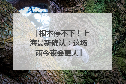 根本停不下！上海最新确认：这场雨今夜会更大