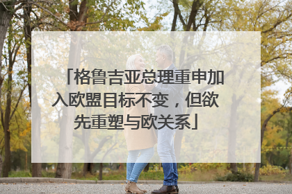 格鲁吉亚总理重申加入欧盟目标不变，但欲先重塑与欧关系