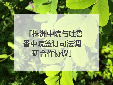 株洲中院与吐鲁番中院签订司法调研合作协议