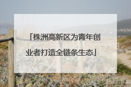 株洲高新区为青年创业者打造全链条生态