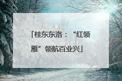 桂东东洛：“红领雁”领航百业兴