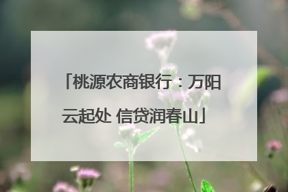 桃源农商银行：万阳云起处 信贷润春山