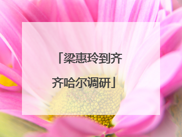 梁惠玲到齐齐哈尔调研
