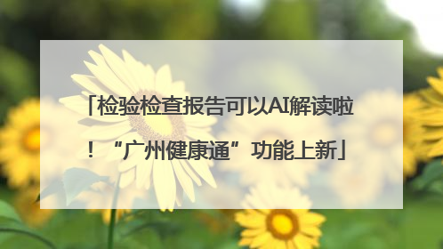 检验检查报告可以AI解读啦！“广州健康通”功能上新