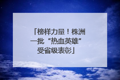 榜样力量！株洲一批“热血英雄”受省级表彰