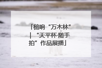 槌响“万木林”｜“天平杯·随手拍”作品展播