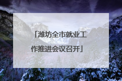 潍坊全市就业工作推进会议召开