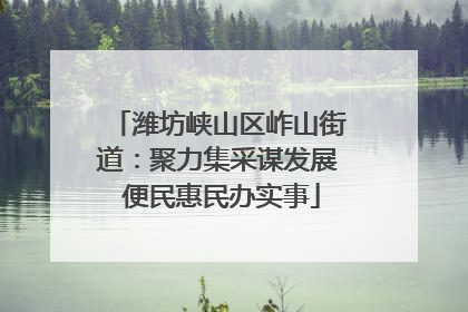 潍坊峡山区岞山街道：聚力集采谋发展 便民惠民办实事