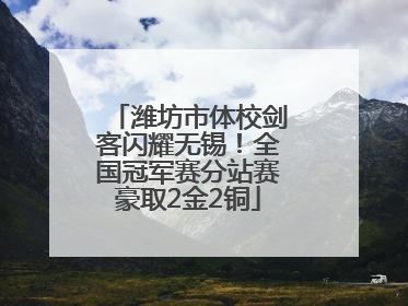 潍坊市体校剑客闪耀无锡！全国冠军赛分站赛豪取2金2铜