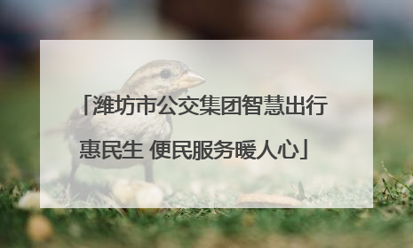 潍坊市公交集团智慧出行惠民生 便民服务暖人心