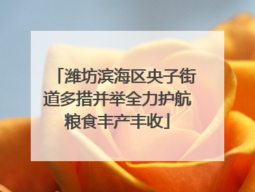潍坊滨海区央子街道多措并举全力护航粮食丰产丰收