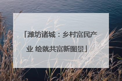 潍坊诸城：乡村富民产业 绘就共富新图景