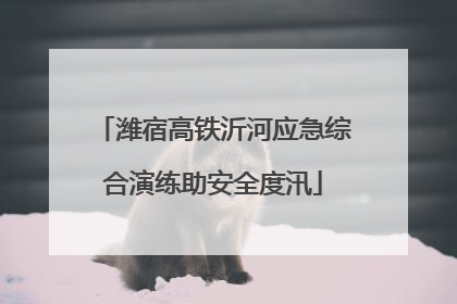 潍宿高铁沂河应急综合演练助安全度汛