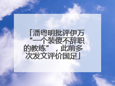 潘粤明批评伊万“一个装傻不辞职的教练”，此前多次发文评价国足