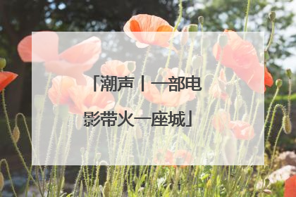 潮声丨一部电影带火一座城