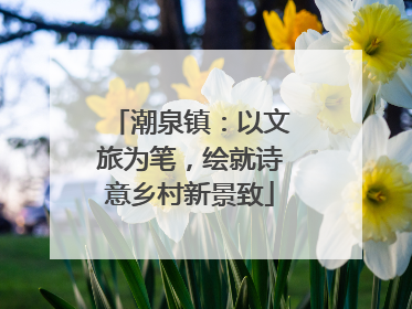 潮泉镇：以文旅为笔，绘就诗意乡村新景致