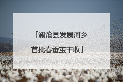 澜沧县发展河乡首批春蚕茧丰收