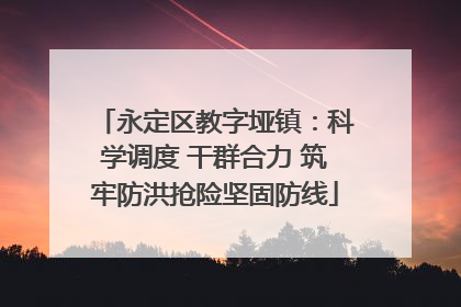 永定区教字垭镇：科学调度 干群合力 筑牢防洪抢险坚固防线