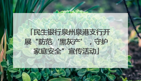 民生银行泉州泉港支行开展“防范‘黑灰产’，守护家庭安全”宣传活动