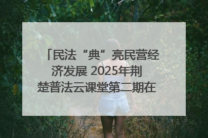 民法“典”亮民营经济发展 2025年荆楚普法云课堂第二期在武汉客厅开讲