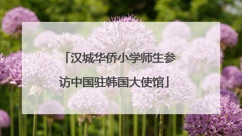 汉城华侨小学师生参访中国驻韩国大使馆