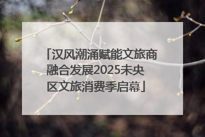 汉风潮涌赋能文旅商融合发展2025未央区文旅消费季启幕
