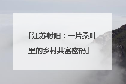江苏射阳：一片桑叶里的乡村共富密码