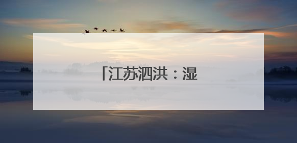 江苏泗洪：湿地白鹭育雏忙