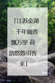 江苏金湖：千年藕香飘万里 荷韵悠悠引客来
