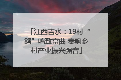 江西吉水：19村“鸽”鸣致富曲 奏响乡村产业振兴强音