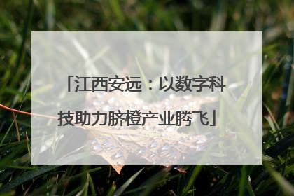 江西安远：以数字科技助力脐橙产业腾飞