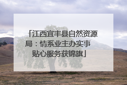 江西宜丰县自然资源局：情系业主办实事 贴心服务获锦旗